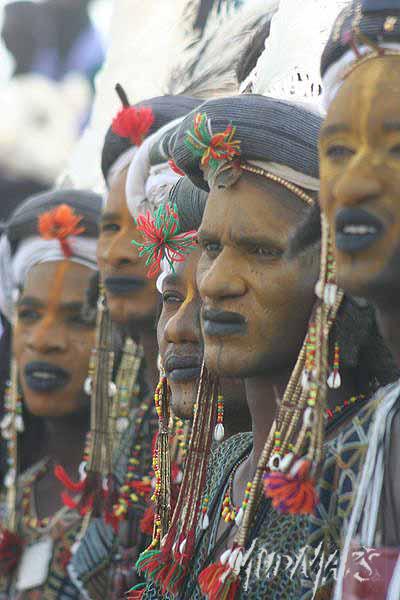 Mud Maps Africa Gaddafi camel party 3422